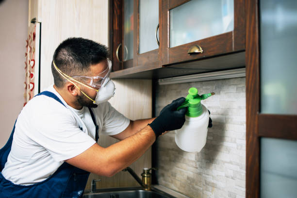 Best Flea Control Services  in West Point, GA