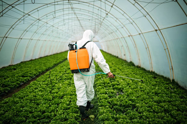 Best Pest Removal Services  in West Point, GA