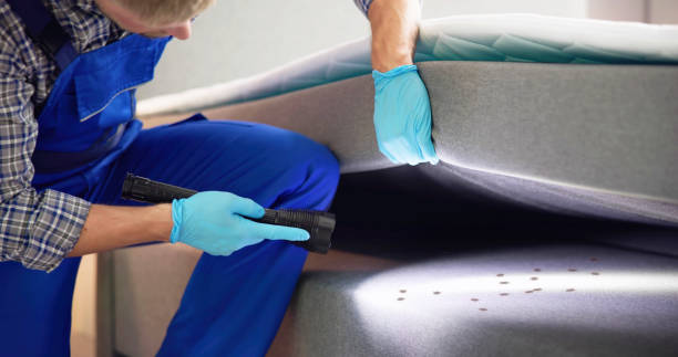 Best Termite Control Services  in West Point, GA